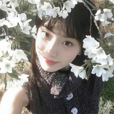 返航迷途