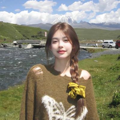 双子座计划